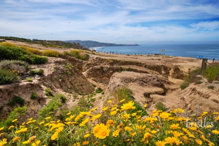 San Diego, California