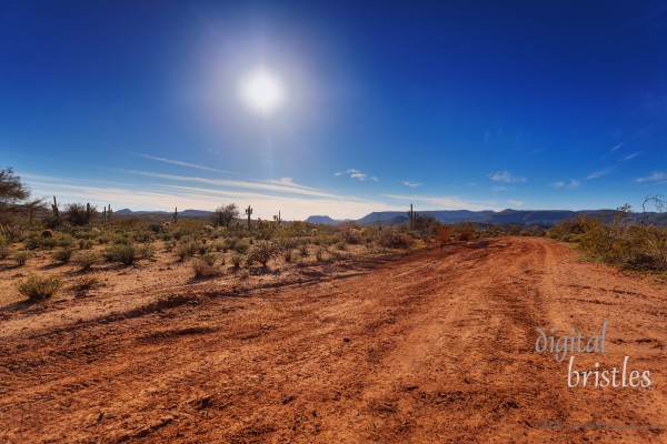 Arizona