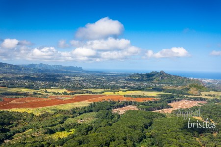 Kauai