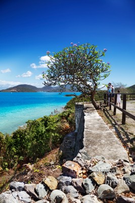 Virgin Islands
