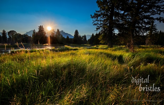 Grand Teton & Yellowstone