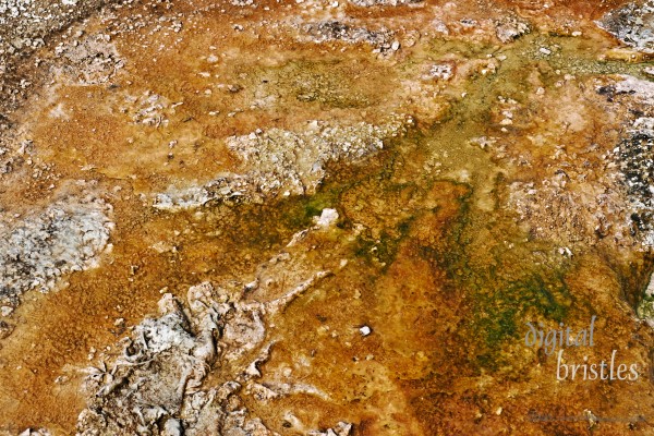 Grand Teton & Yellowstone