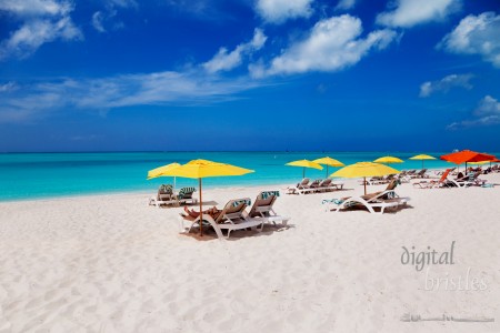 Turks & Caicos Islands